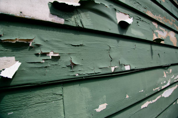 Best Shed Removal  in East Grand Rapids, MI